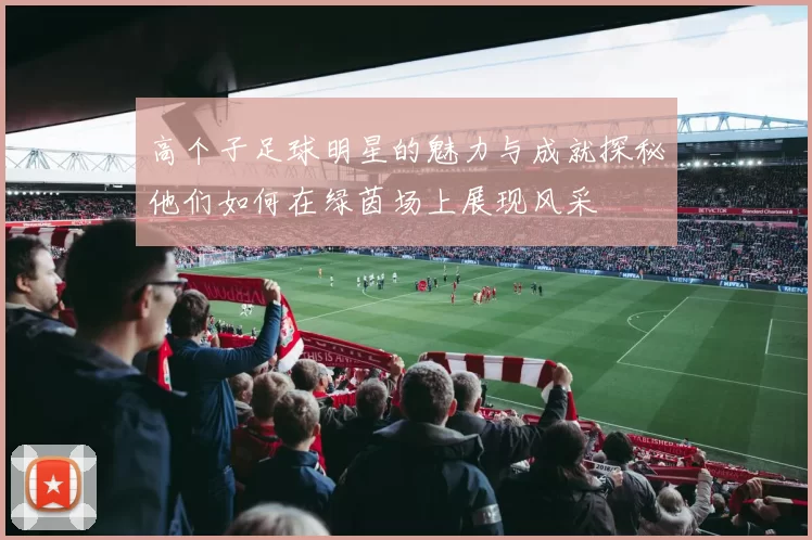 高个子足球明星的魅力与成就探秘他们如何在绿茵场上展现风采