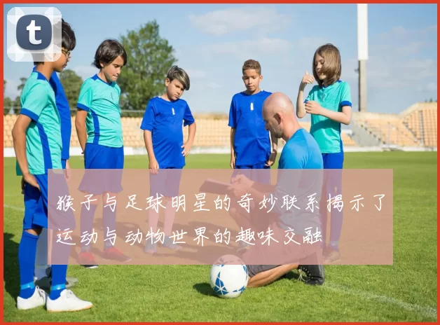 猴子与足球明星的奇妙联系揭示了运动与动物世界的趣味交融