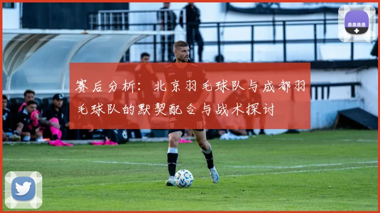 赛后分析：北京羽毛球队与成都羽毛球队的默契配合与战术探讨
